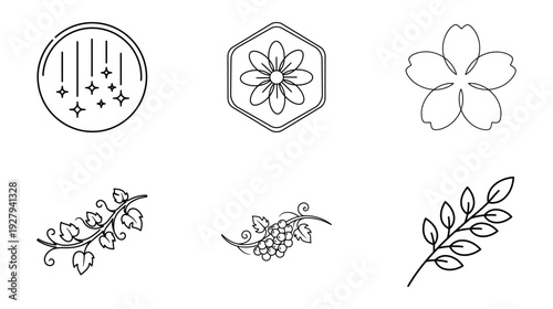 Floral botanical illustrations set