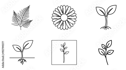 Illustration of Plant growth stages and leaves