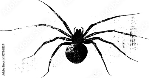 High contrast ink illustration of spider and anchor design