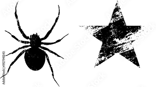 Spider and star ink silhouette in high contrast black and white design