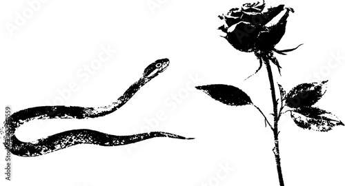 Snake and rose high contrast ink art for tattoo design or décor