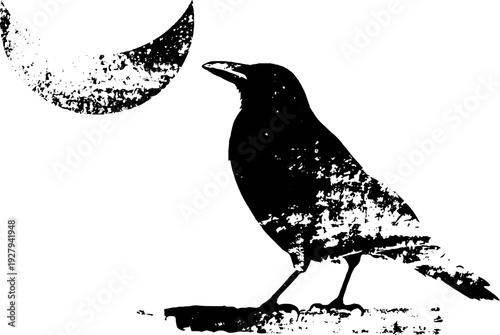 Raven and crescent moon in high contrast black and white ink design