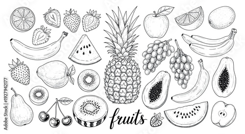 Hand Drawn Fresh Fruits Collection Black White Vector Illustration
