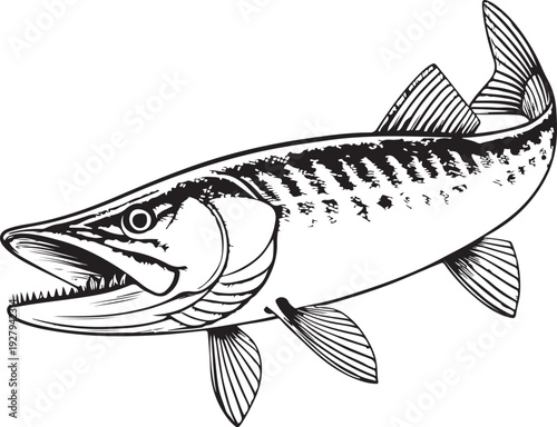 Muskellunge (Muskie) Fish Hand-drawn Sketch Drawing Vector Illustration, Line Linear Symbol Black and White Engraving, Isolated