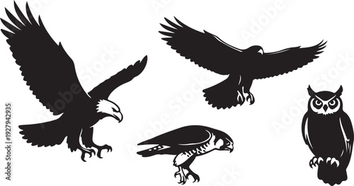 Set of four predator bird silhouettes including eagle, hawk, falcon and owl, isolated on white background