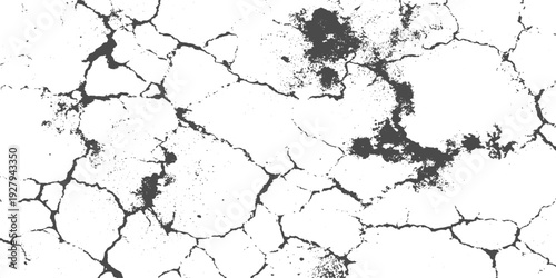 Black and white cracked stone and wall texture with dry ground fractures distressed grunge surface overlay.