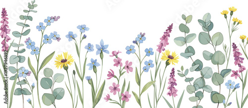 Colorful wildflower horizontal border with blue forget me nots yellow cornflowers purple blossoms and eucalyptus leaves botanical vector illustration set.