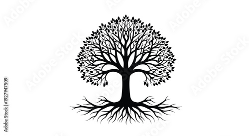 Detailed tree with lush foliage and prominent roots a striking silhouette