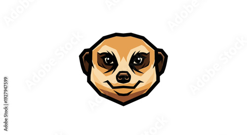 Smiling Sloth Face Closeup.