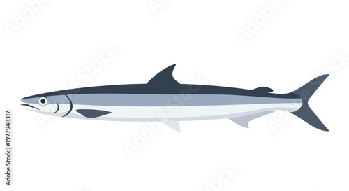 Tuna Fish Marine Life.