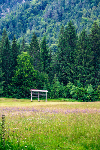 In the green. Slovenia and Lake Kranjska Gora. Julian Alps