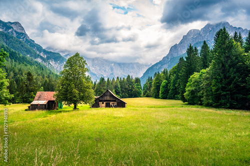 In the green. Slovenia and Lake Kranjska Gora. Julian Alps