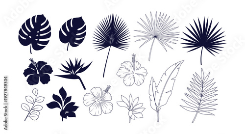 Tropical Leaves Exotic Flowers Botanical Collection Monstera Palm Hibiscus Silhouette Outline