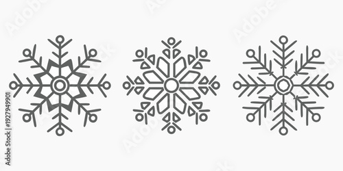 Three detailed snowflake illustrations arranged in a horizontal line