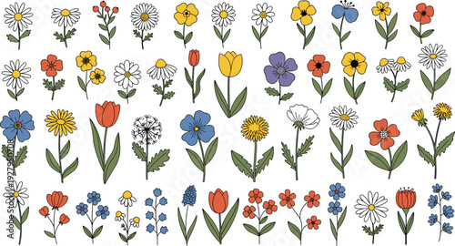 Set of hand drawn colorful flower illustrations, botanical garden floral elements, spring blossoms, summer plants, meadow wildflowers, vector graphics, nature.