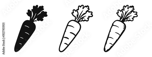 Carrot icon set in solid, outline, and hand-drawn styles with leaves, symbolizing natural and nutritious produce.
