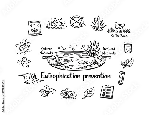 Eutrophication prevention. Hand-drawn doodle illustration of Eutrophication prevention. In
