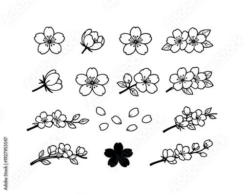 apple blossom branch delicate outline. Line outline icon set of apple blossom branch delicate outline: single