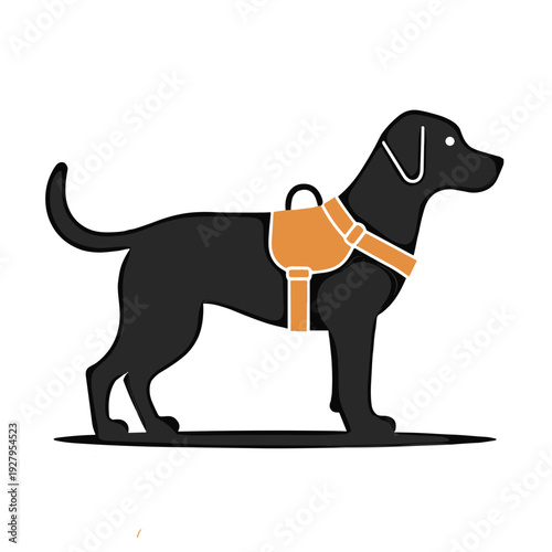 black labrador retriever silhouette wearing orange service dog harness on transparent background, with copy space for editorial design, websites and educational blogs