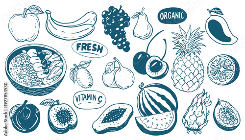 Hand drawn vintage mediterranean blue fruits set. Dolce vita style food illustration perfect for cafe or restaurant menus design.	