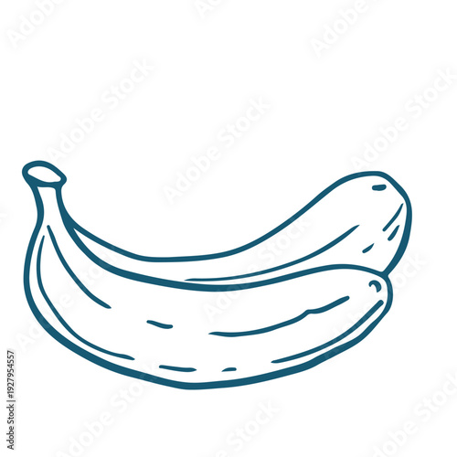 Hand drawn sketch illustration of a banana. Vintage mediterranian blue style.