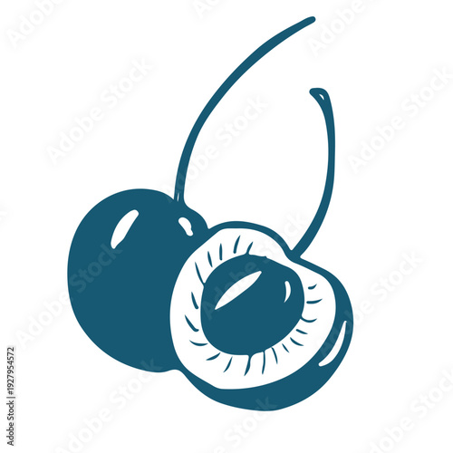 Hand drawn sketch illustration of a cherry. Vintage mediterranian blue style.