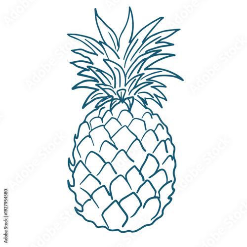 Hand drawn sketch illustration of  a pine apple. Vintage mediterranian blue style.