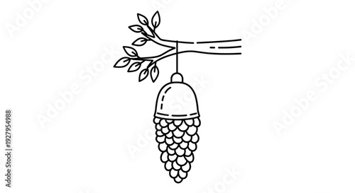 Beehive Hanging from Tree Branch.