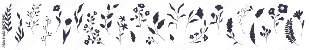Fototapeta premium Set of elegant black silhouettes of flowers, leaves and branches. Hand drawn vector botanical elements isolated on a white background