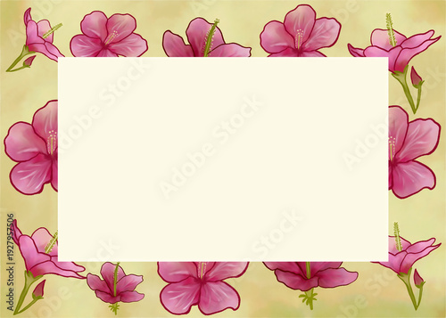 Pink hibiscus flowers forming an elegant ornamental border, creating a frame for text or graphics