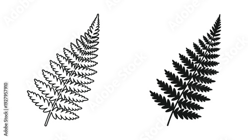 Two Fern Leaf Silhouettes: Outline and Solid Fill Vector Graphics