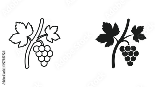 Grapevine Silhouette and Outline Icons - Vector Illustration