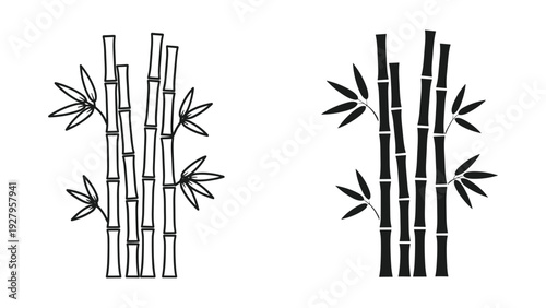 Set of two bamboo plant designs, one outline and one silhouette, with leaves on white background