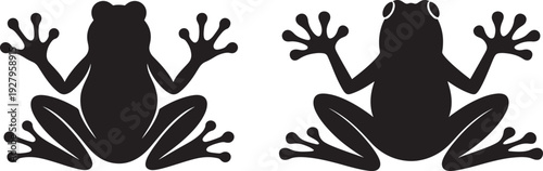 Frog Silhouettes: Two Poses of Amphibian Icons in Black and White Vector Art