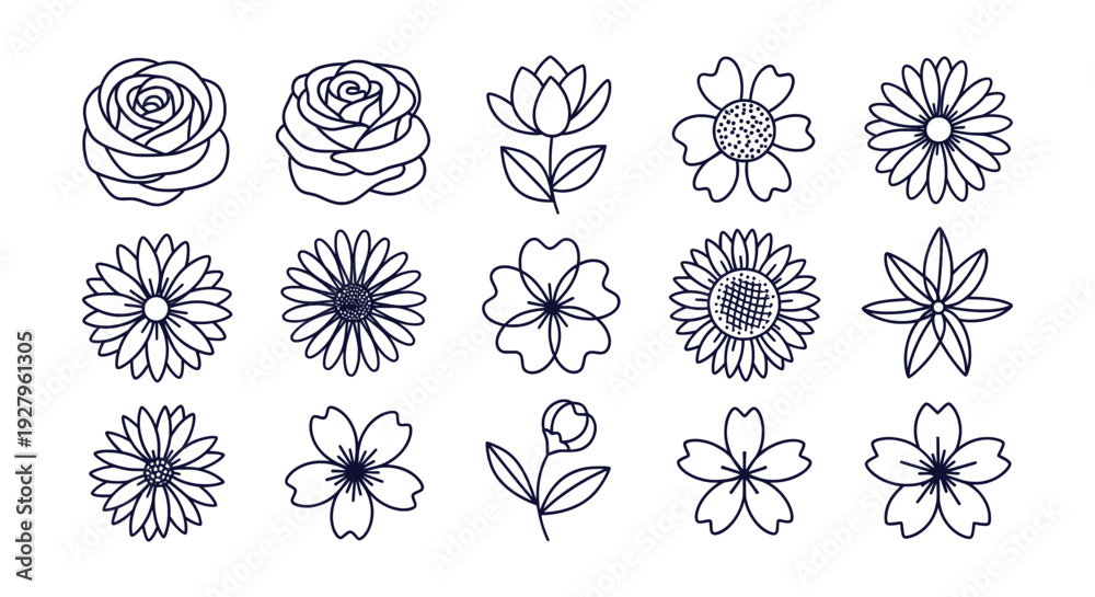 Fototapeta premium Elegant Hand Drawn Floral Outline Vector Set Botanical Line Art Illustrations Collection