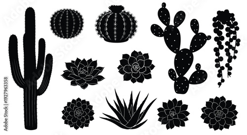 Variety of desert cacti and succulents depicted in a stark silhouette