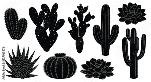 Variety of desert cacti and succulents presented as a black silhouette