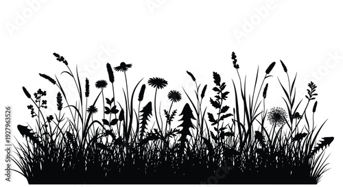 Black floral and grassy landscape with a striking silhouette high quality