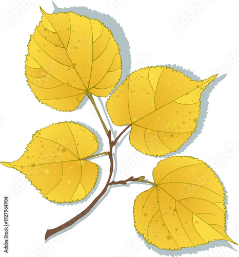 Yellow autumn lime-tree leaves branch on the transparent background. Flat and line style vector illustration. 