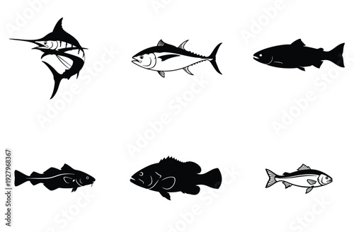 Set of black and white fish silhouettes collection showcasing a diverse range of marine and freshwater species for various graphic design applications