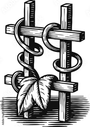 Wooden trellis with climbing vine and leaves in vintage black and white