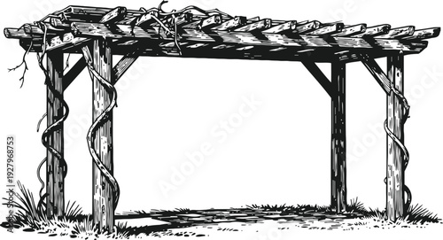Rustic wooden pergola with climbing vines, garden structure for outdoor shade and decoration