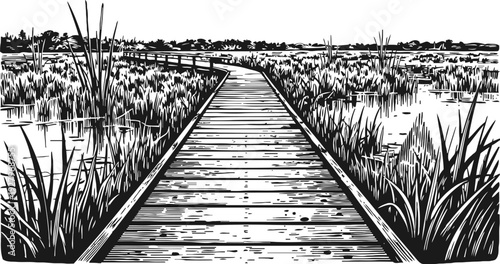 Wooden boardwalk pathway crossing marshland with tall grasses and water reflection in black and white illustration