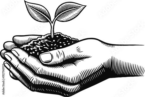 Hands holding small plant seedling with soil growth, nurturing, environmental care concept