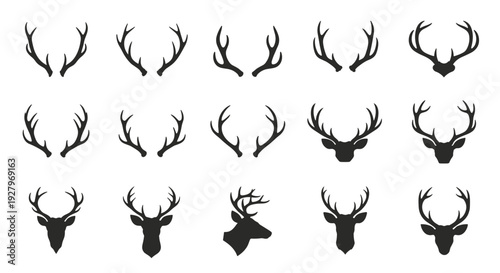 A precise grid showcases fifteen distinct black silhouettes of deer antlers and full deer heads against a stark white background.