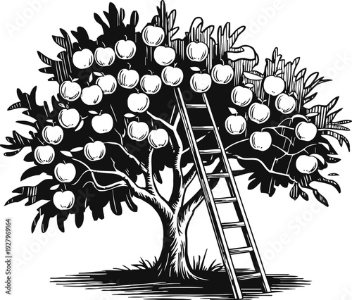 Apple tree with ripe fruit and ladder leaning on the branch for harvesting autumn orchard