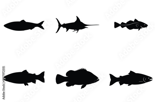 Silhouettes of various fish species including tuna marlin cod perch salmon and other sea creatures for fishing and wildlife themes