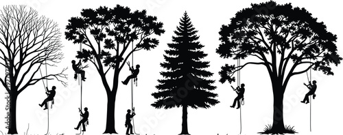 Arborist tree climbing silhouettes set, professional workers pruning and trimming tall forest trees vector illustration isolated background