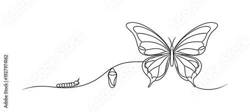 "Transformation Journey". Minimalistic one-line drawing symbolic progression from tiny caterpillar to large