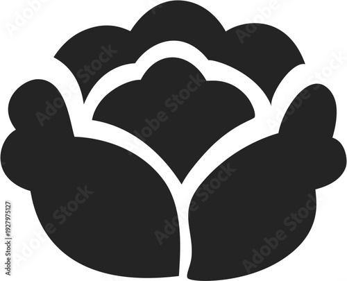 Cabbage Icon